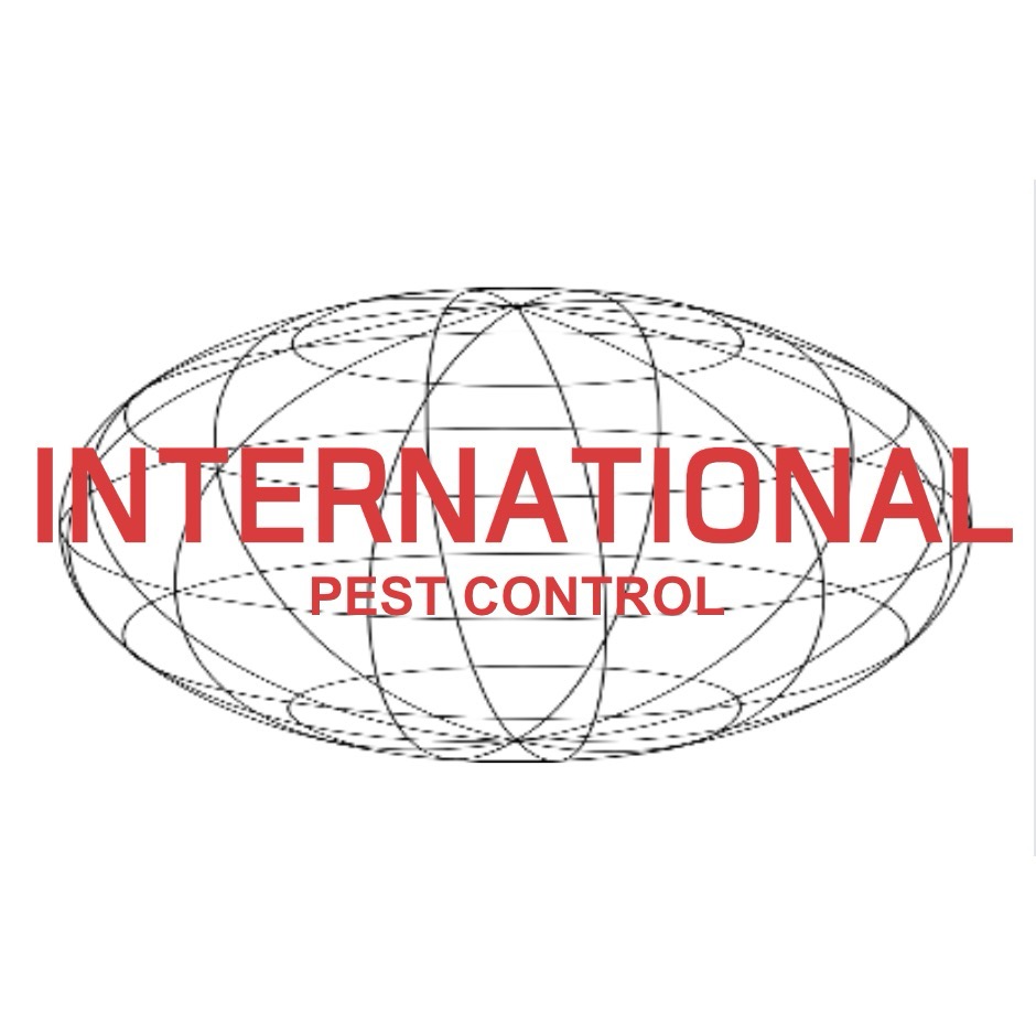 澳門國際清毒滅蟲